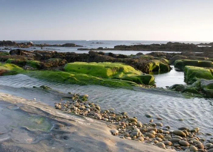 Family House In Amorosa, Northern Portugal *